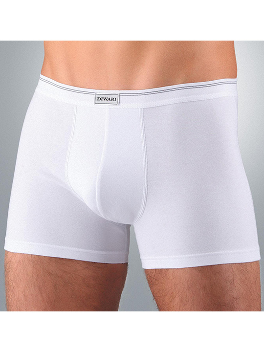 Трусы мужские MSH Basic Shorts  боксеры