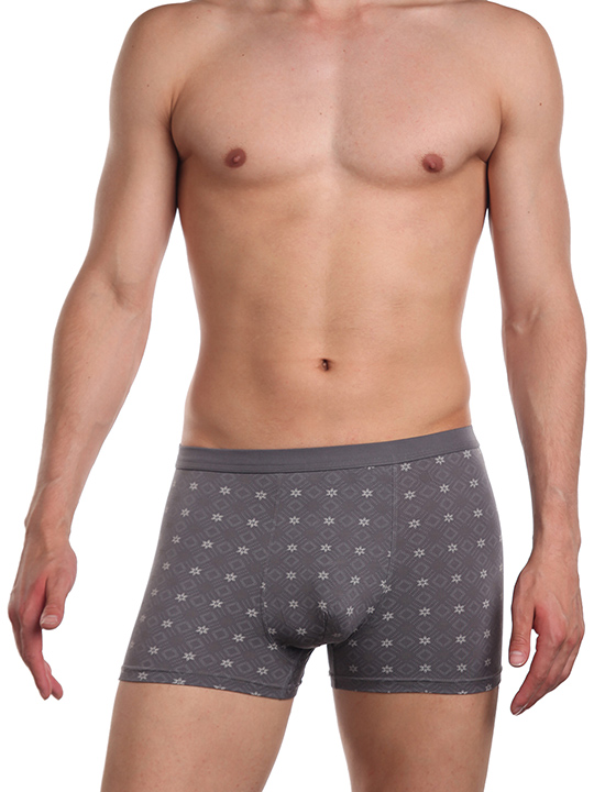 SG2936-3 Трусы мужские  боксеры