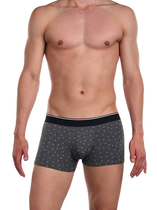 TS7824-2 Трусы мужские  Tousite боксеры