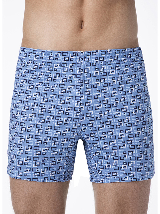 Трусы мужские 18С6400 Брестские Boxer Conte боксеры