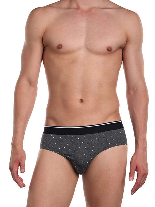 TS7826-2 Трусы  Tousite слип