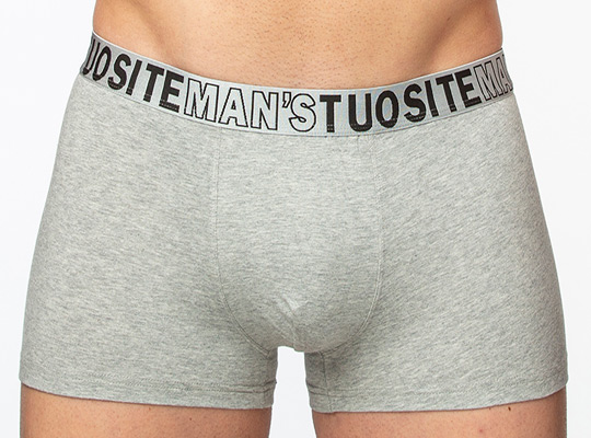 TS7804-3 Трусы мужские  Tousite боксеры
